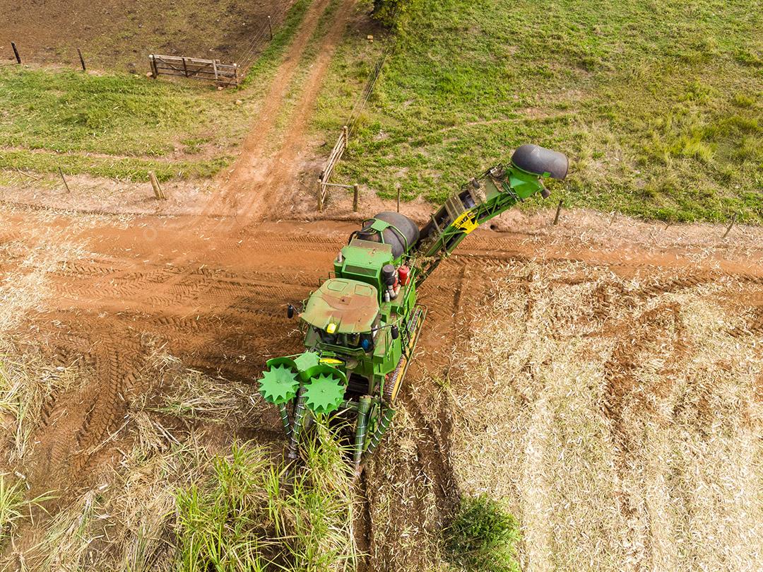 Campo aéreo de cana-de-açúcar no Brasil Imagem JPG