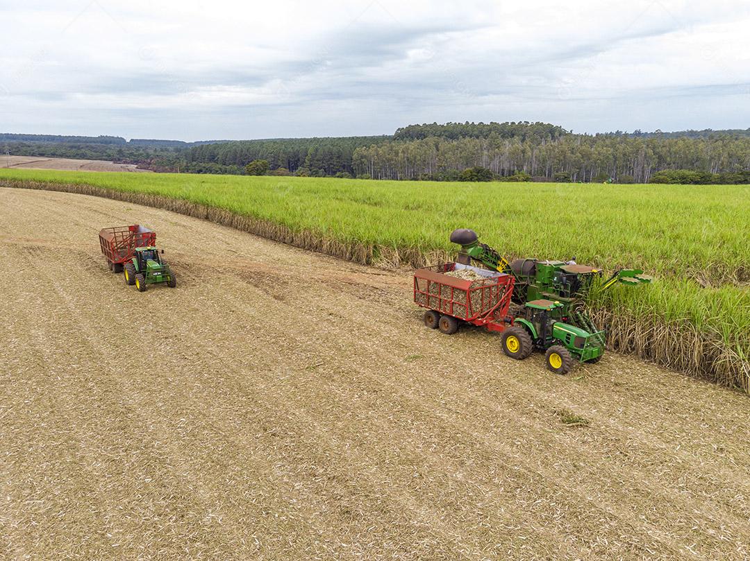 Campo aéreo de cana-de-açúcar no Brasil Imagem JPG