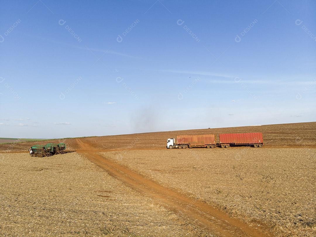 Caminhão esperando para carregar cana-de-açúcar no campo Imagem JPG