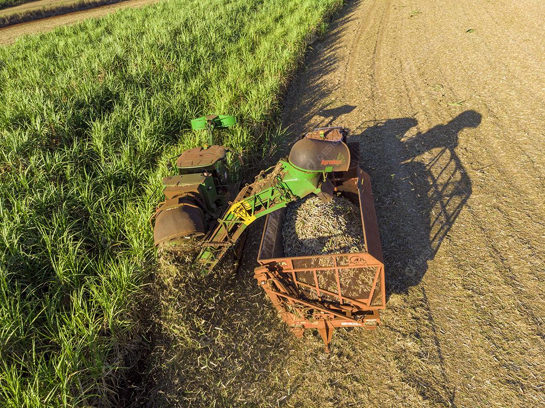 Campo aéreo de cana-de-açúcar no Brasil. Trabalho de trator, agronegócio Imagem JPG