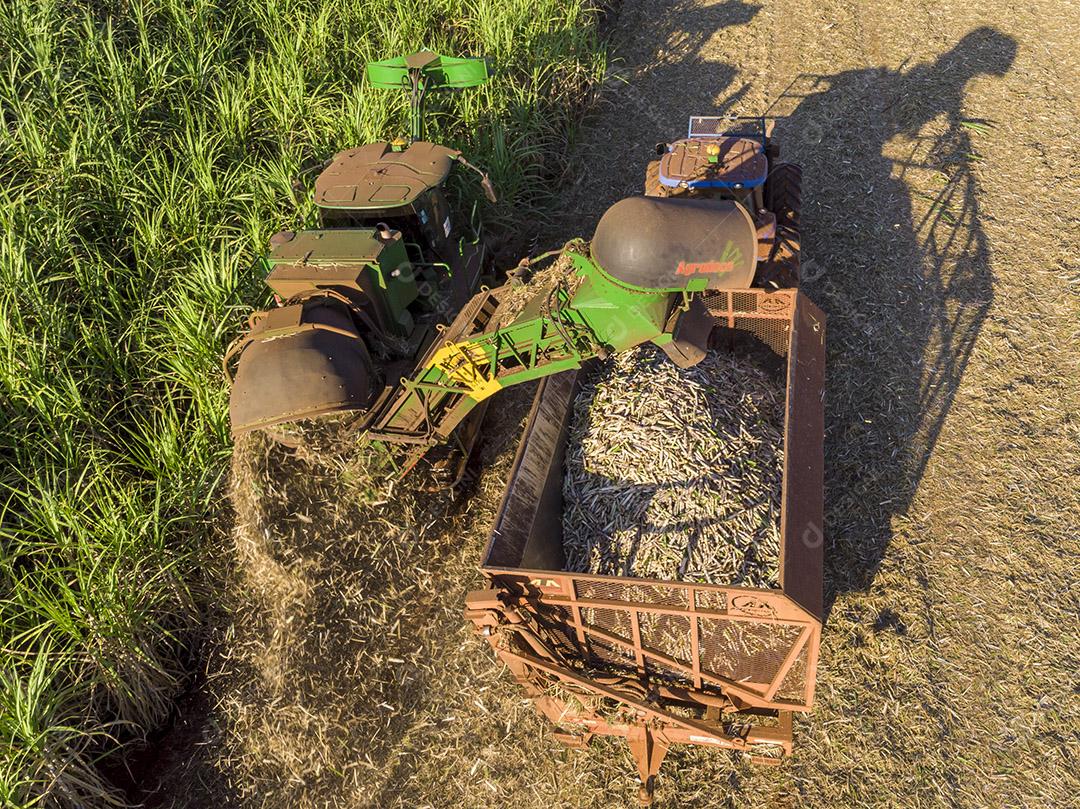 Campo aéreo de cana-de-açúcar no Brasil. Trabalho de trator, agronegócio Imagem JPG