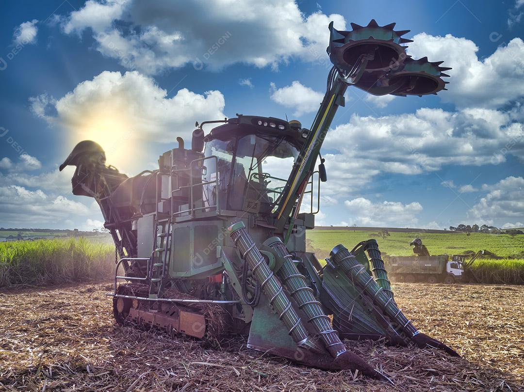 Trator colhendo cana-de-açúcar no campo ao pôr do sol Imagem JP`G
