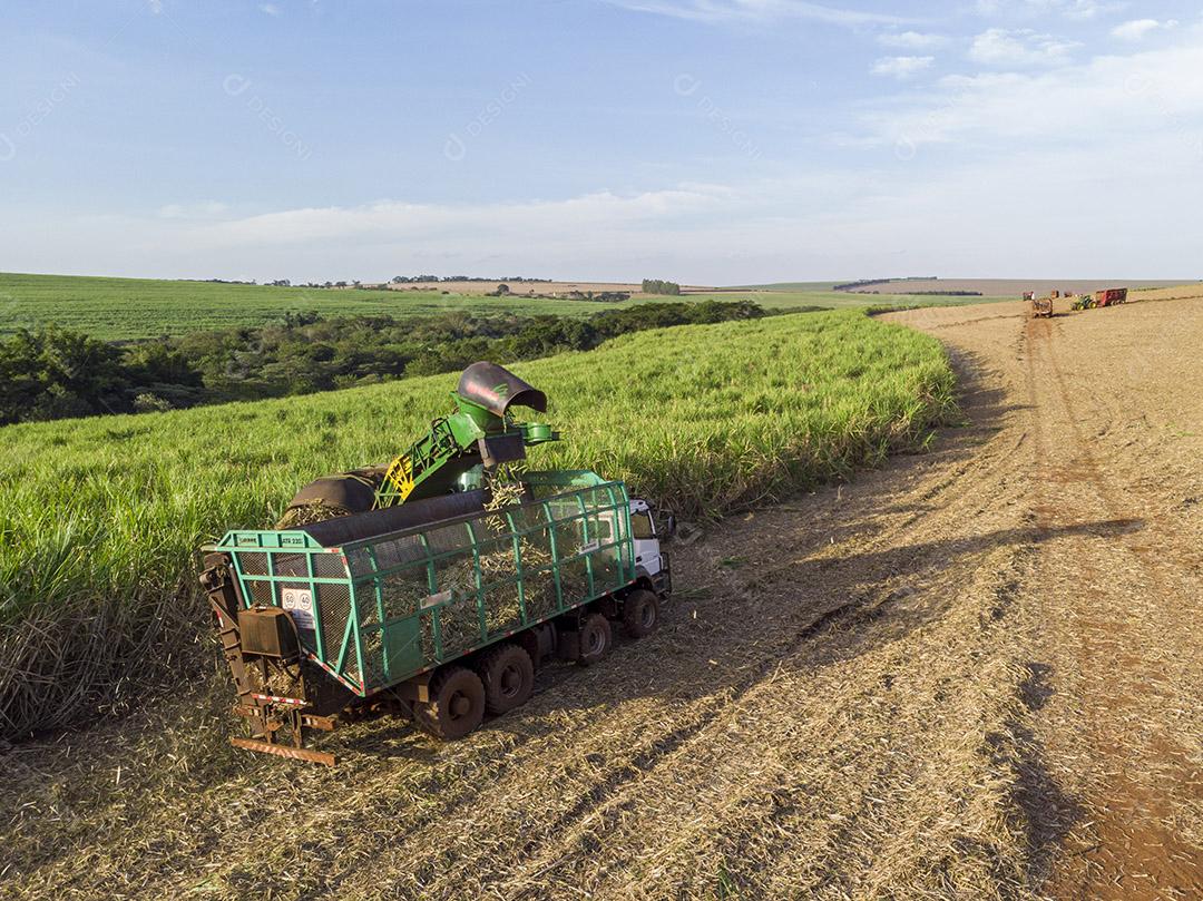 Campo aéreo de cana-de-açúcar no Brasil. Trabalho de trator, agronegócio Imagem JPG