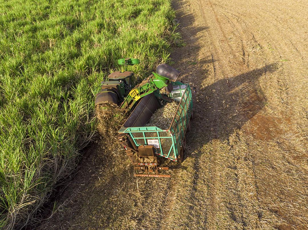 Campo aéreo de cana-de-açúcar no Brasil. Trabalho de trator, agronegócio Imagem JPG