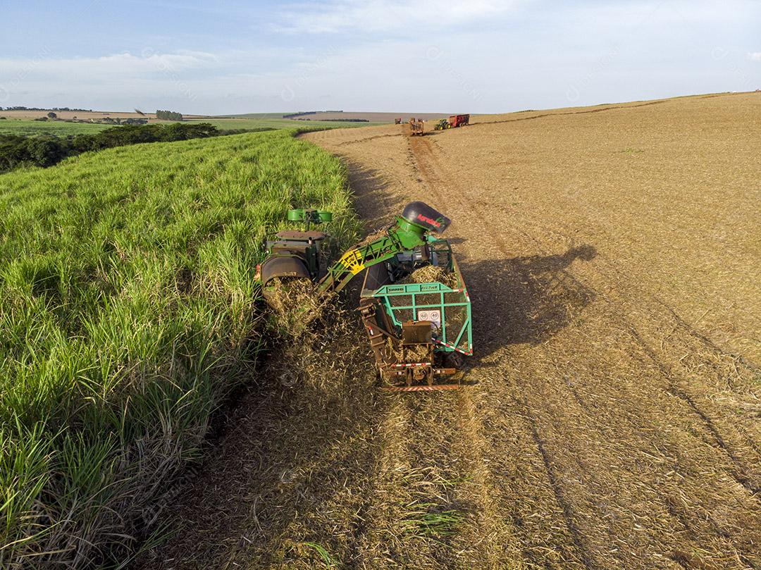 Campo aéreo de cana-de-açúcar no Brasil. Trabalho de trator, agronegócio Imagem JPG