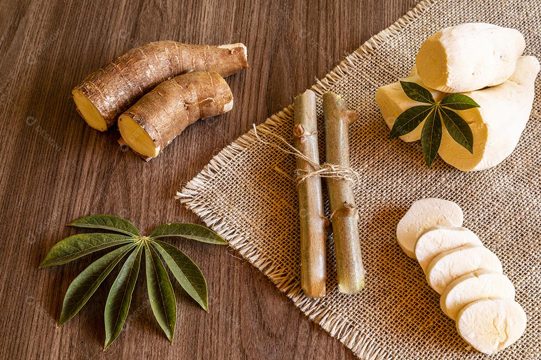 Fotos Mandioca, também chamada de mandioca, mandioca, balinghoy, mogo, mandioca, ka