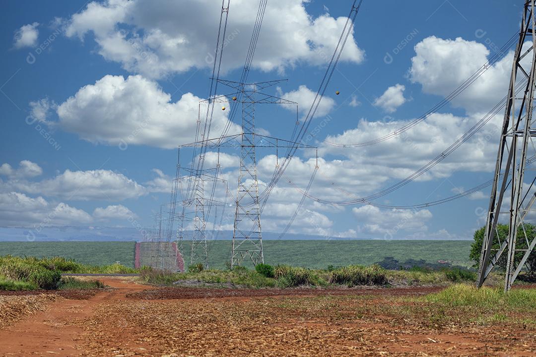 Plantação de cana-de-açúcar de colheita de máquina Imagem JPG