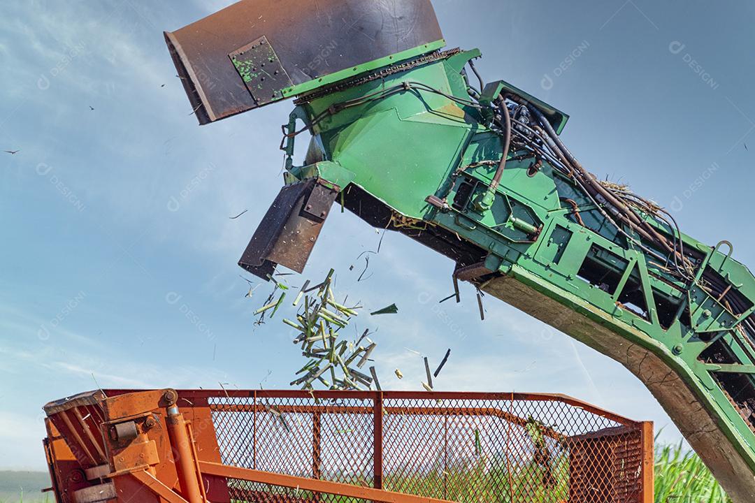 Machine harvesting sugar cane plantation Image JPG