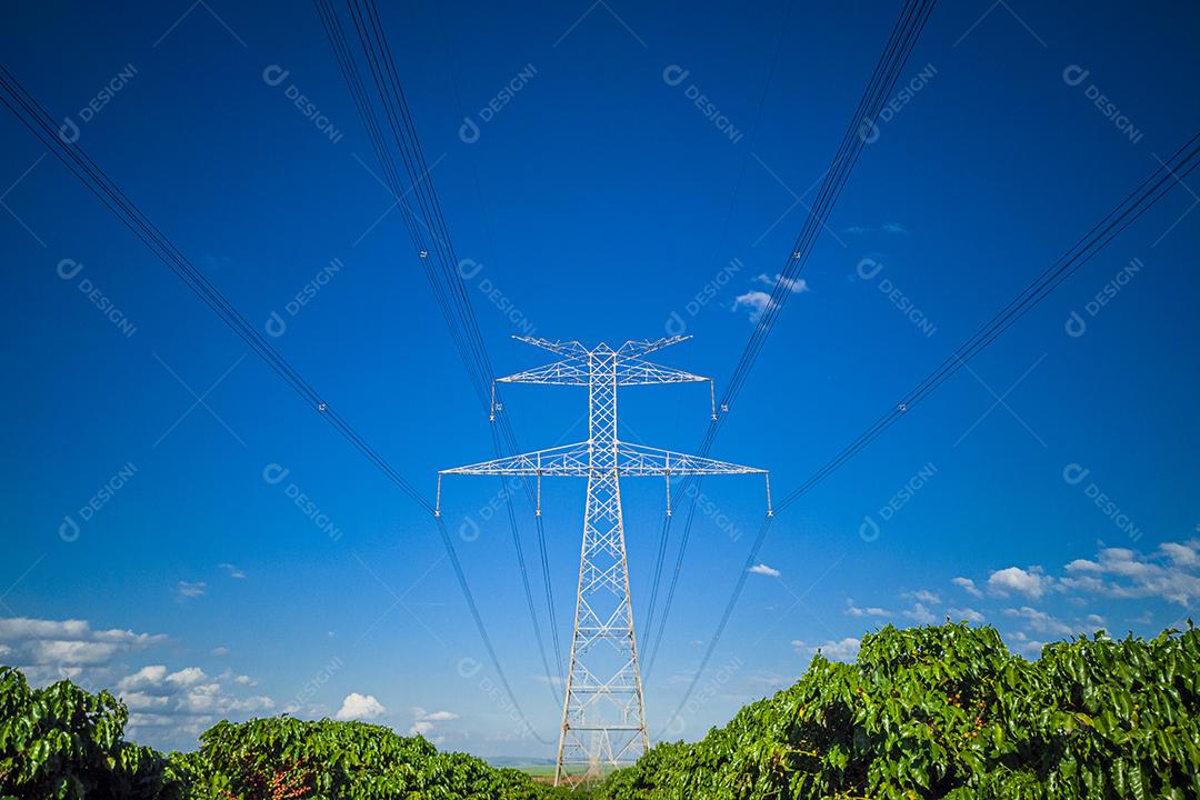Torre de transmissão de energia no meio da plantação de café Imagem JPG