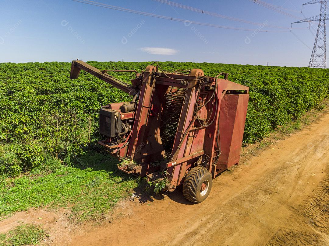 Máquina no campo colhendo café na plantação Imagem JPG