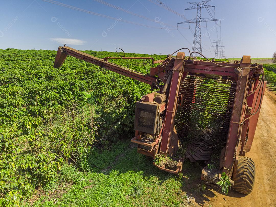 Máquina no campo colhendo café na plantação Imagem JPG