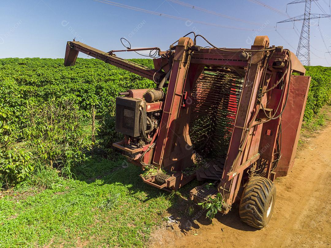 Máquina no campo colhendo café na plantação Imagem JPG