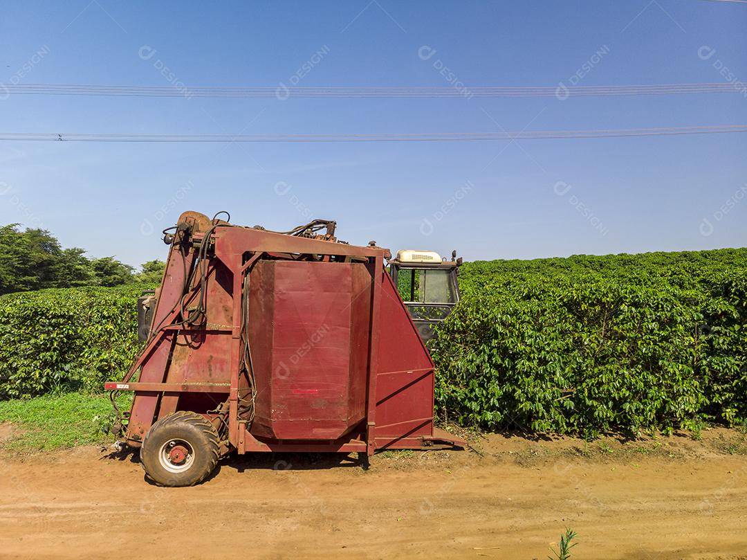 Máquina no campo colhendo café na plantação Imagem JPG