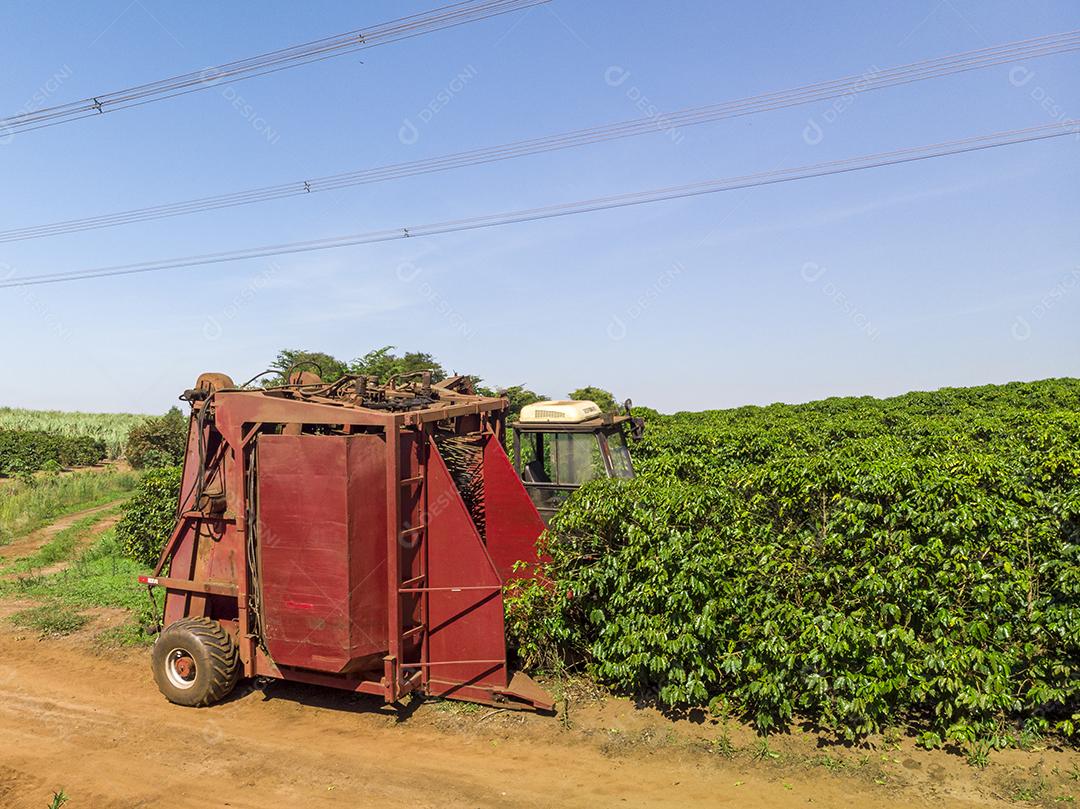 Máquina no campo colhendo café na plantação Imagem JPG