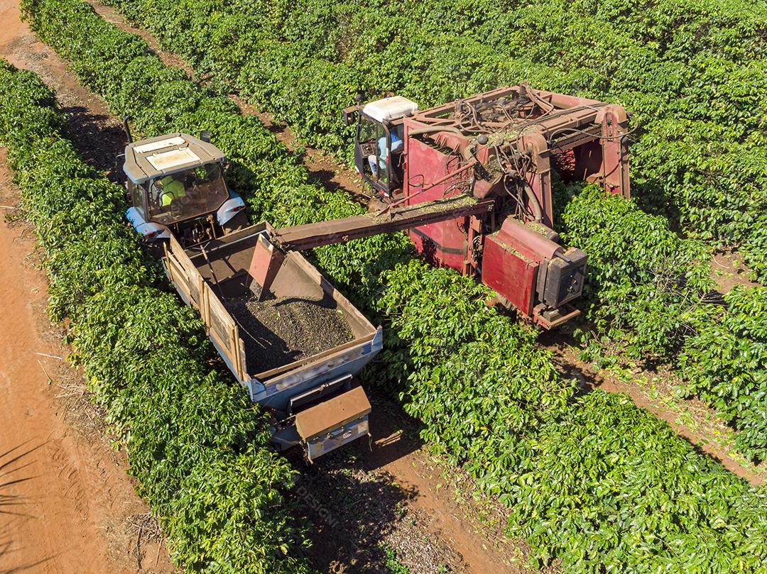 Máquina no campo colhendo café na plantação Imagem JPG