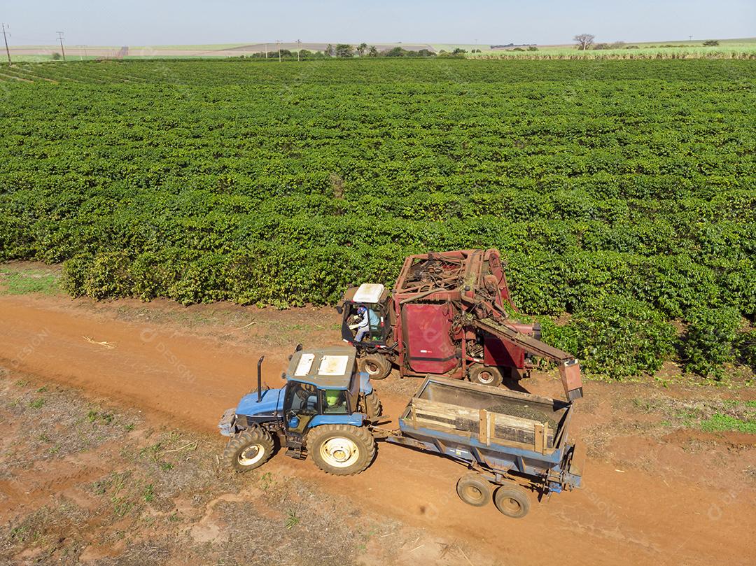 Máquina no campo colhendo café na plantação Imagem JPG