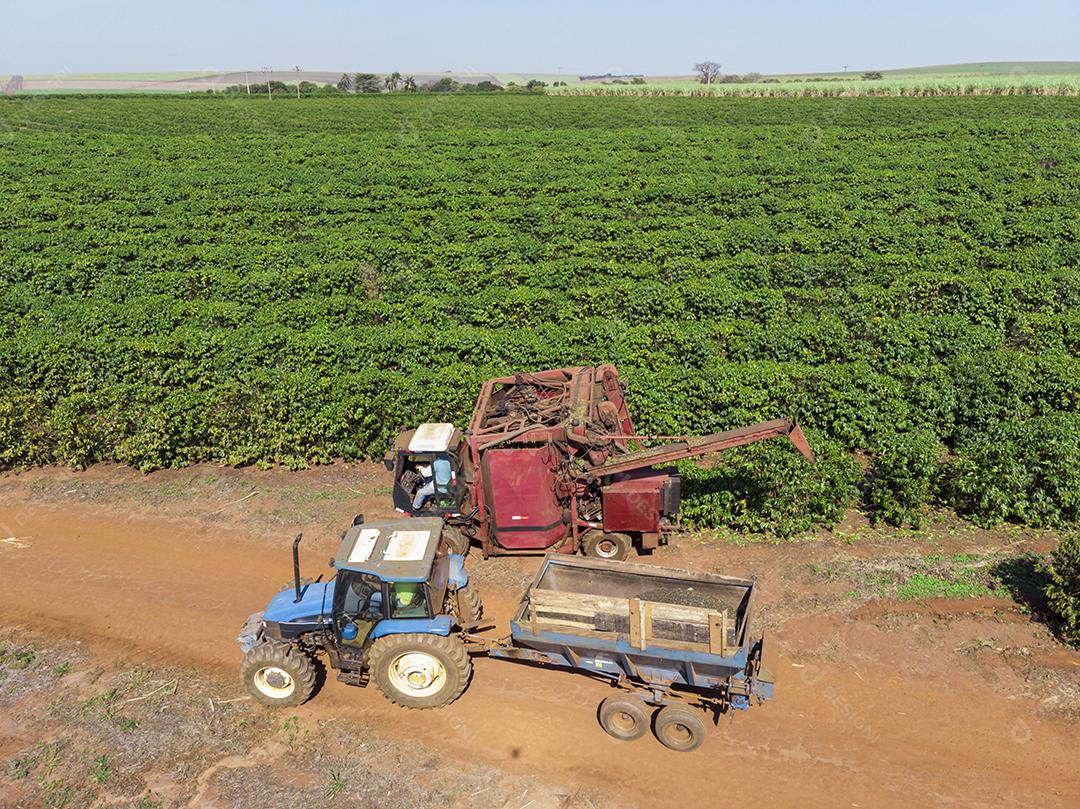 Máquina no campo colhendo café na plantação Imagem JPG