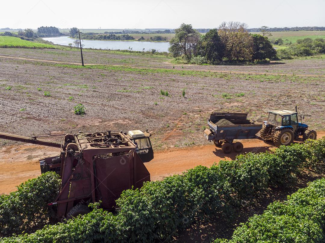 Máquina no campo colhendo café na plantação Imagem JPG