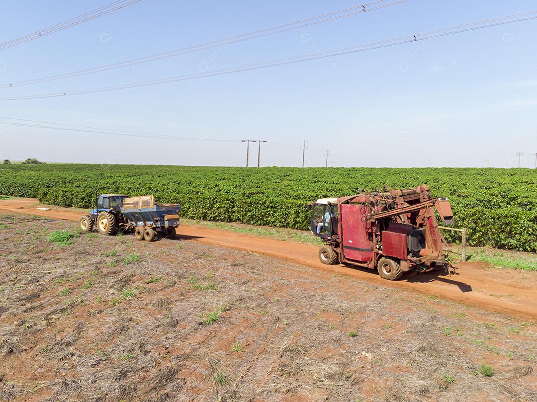 Máquina no campo colhendo café na plantação Imagem JPG