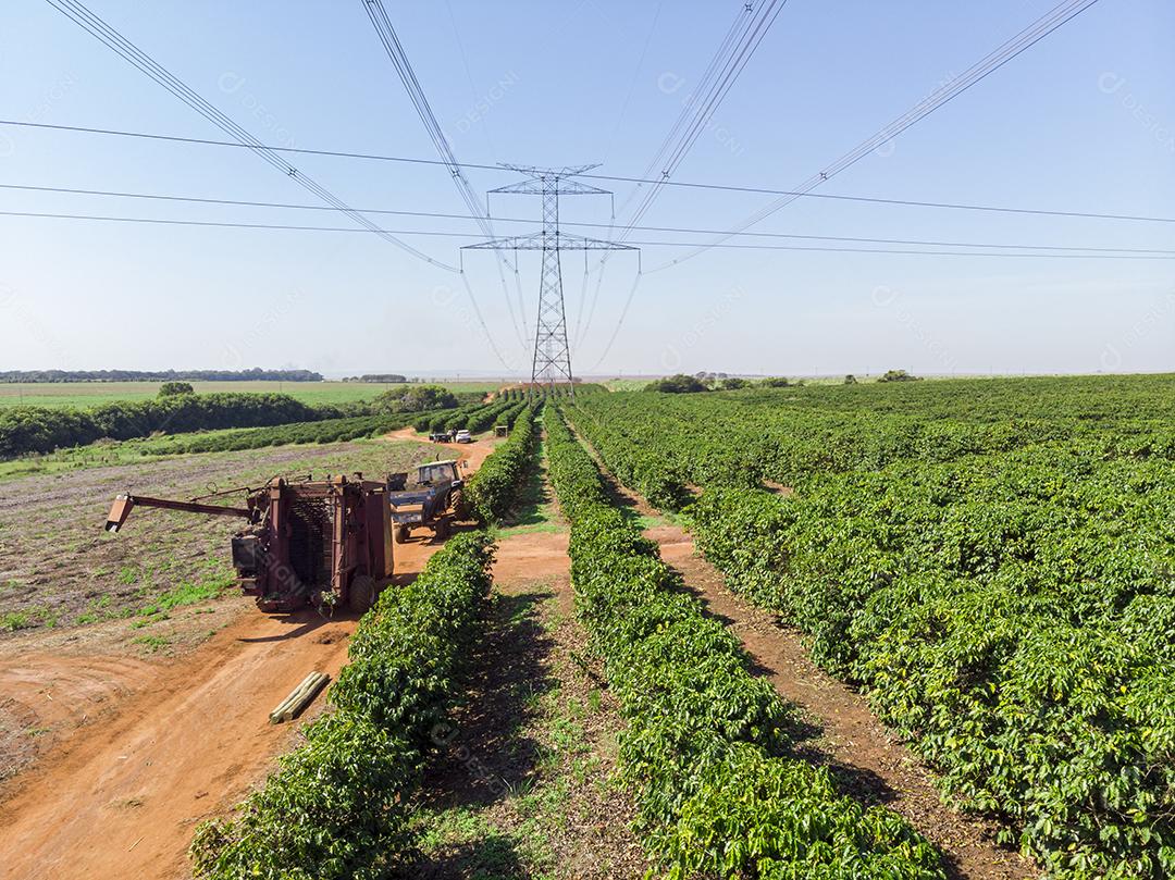 Máquina no campo colhendo café na plantação Imagem JPG