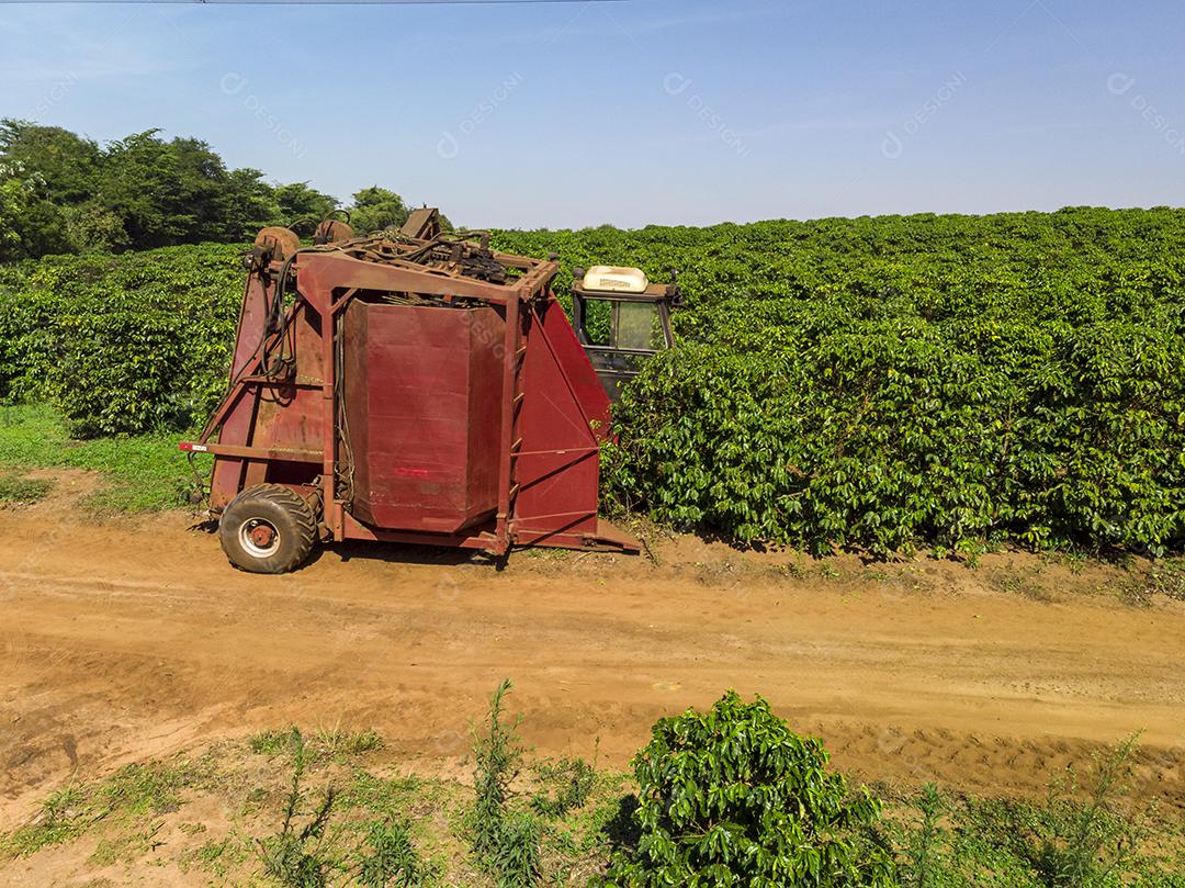 Máquina no campo colhendo café na plantação Imagem JPG