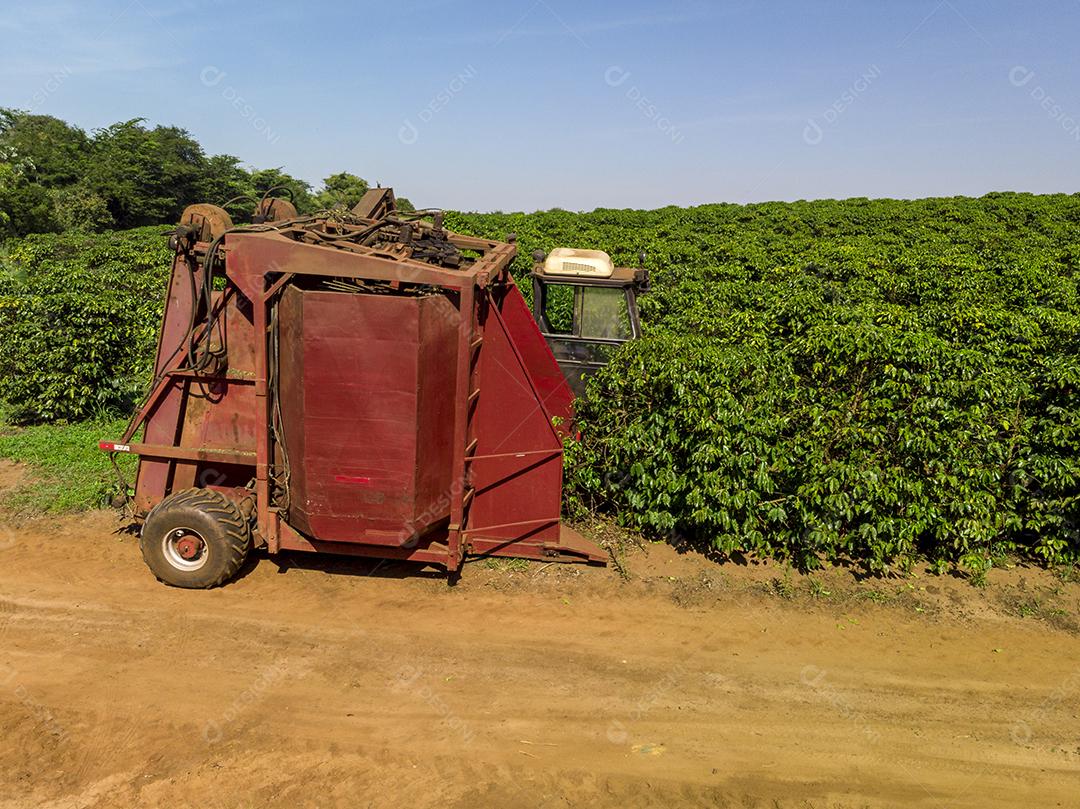 Máquina no campo colhendo café na plantação Imagem JPG