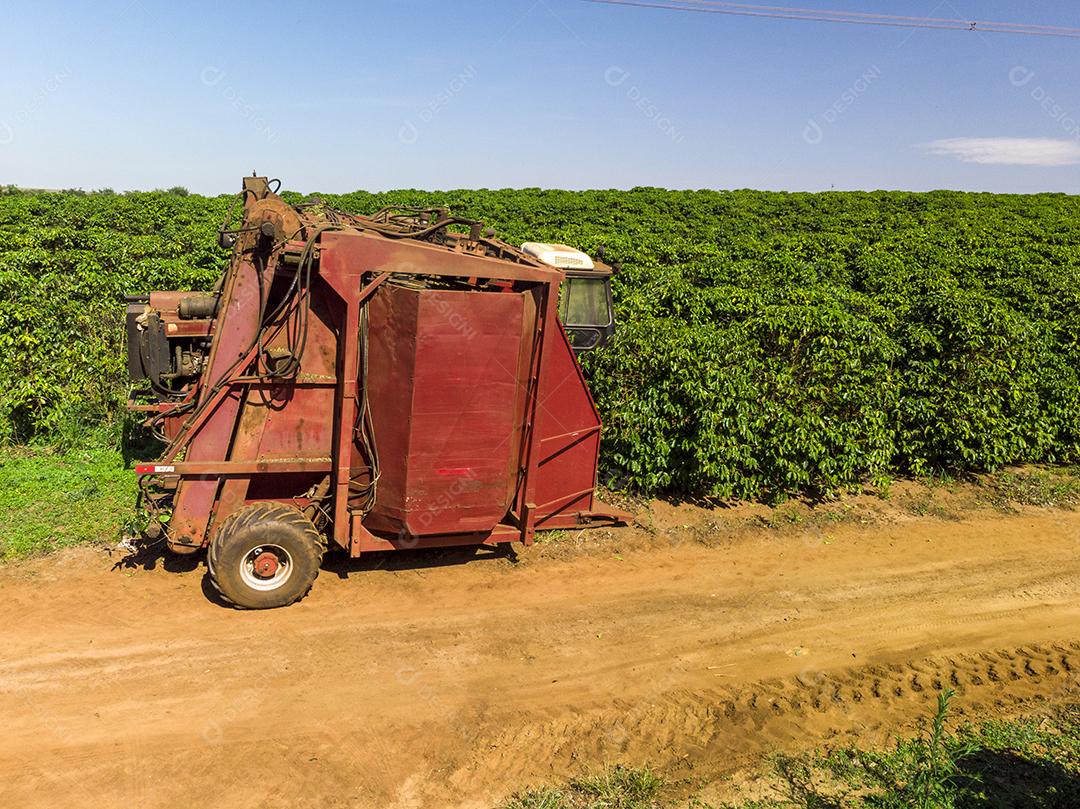 Máquina no campo colhendo café na plantação Imagem JPG