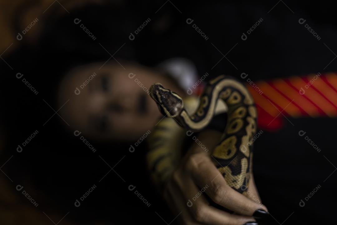 Modelo japonês em ensaio com cobra no estúdio fotográfico Imagem JPG