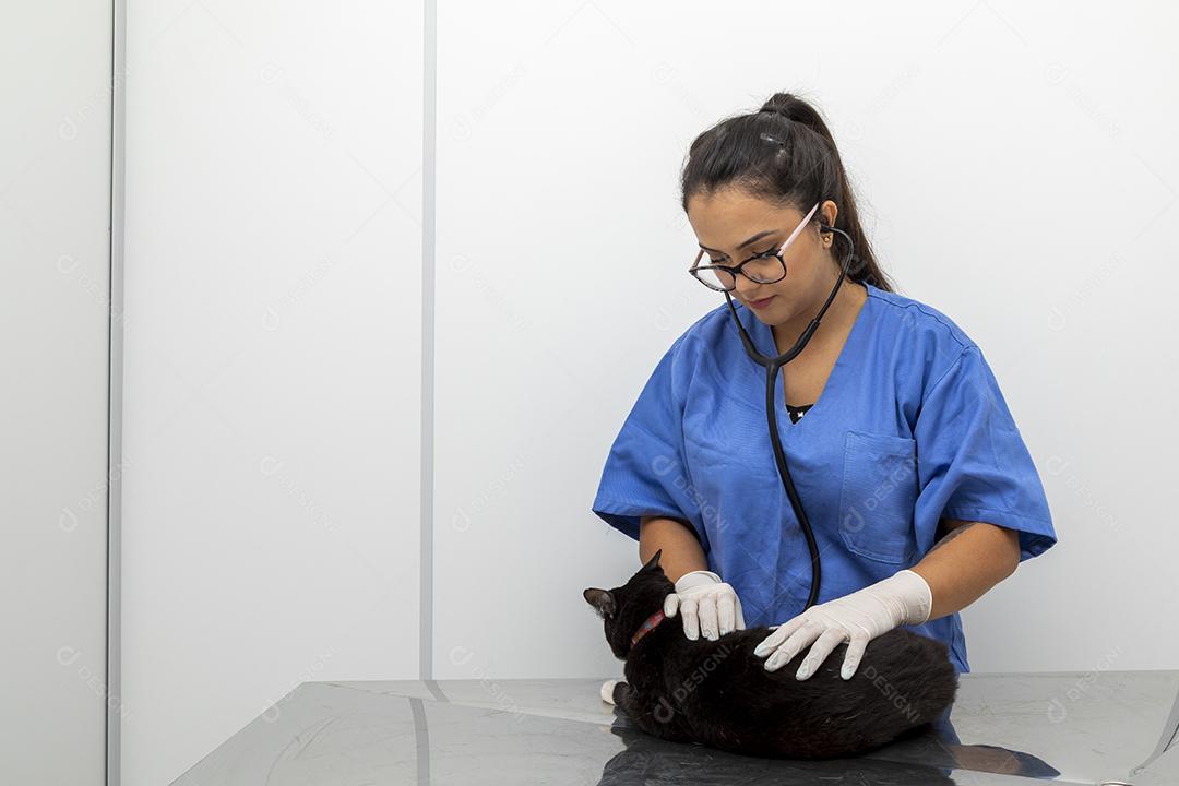 Lindo gato preto na mesa da clínica veterinária Imagem JPG