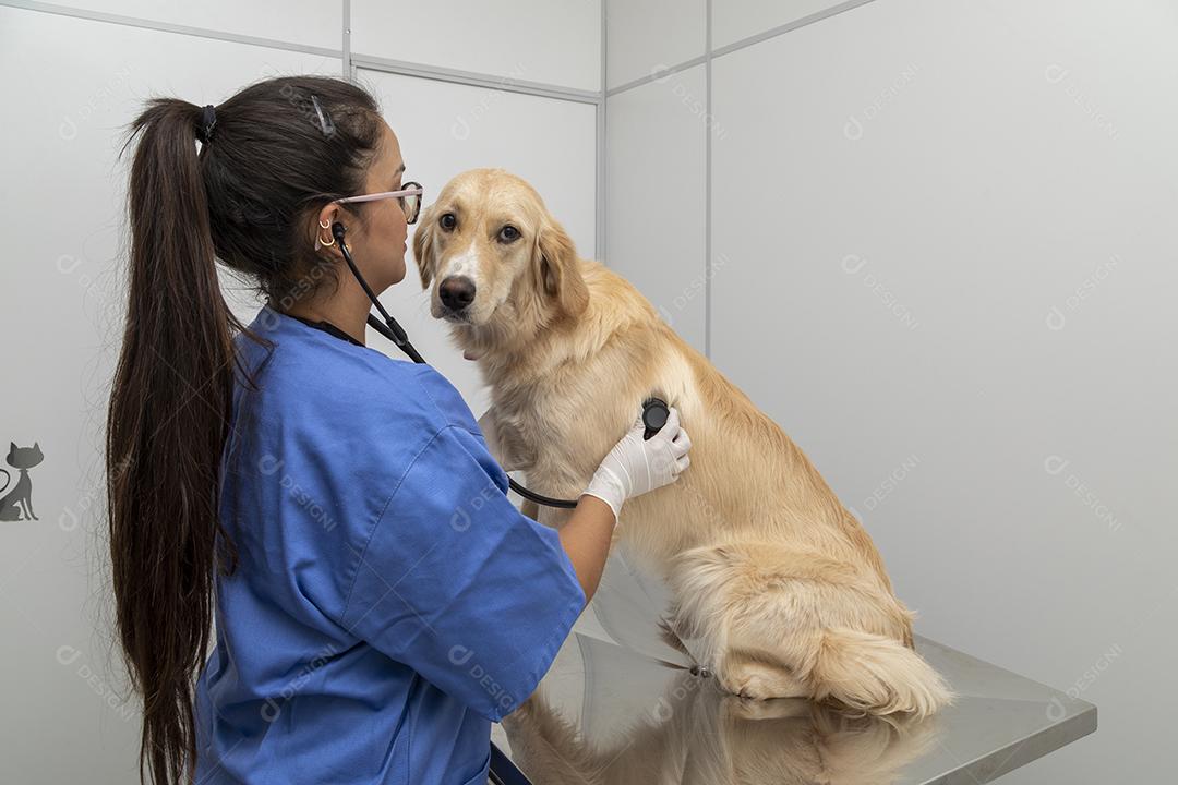 Médico veterinário abraçando um cachorro Imagem JPG