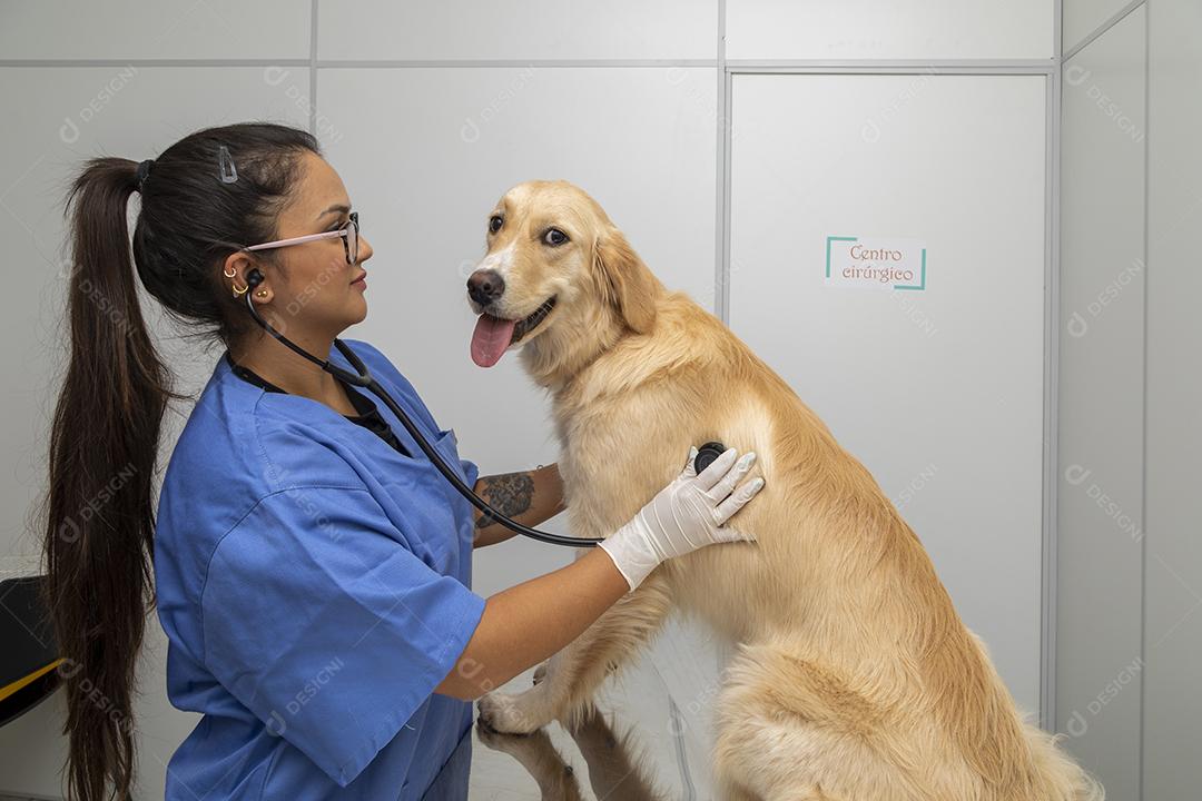 Médico veterinário abraçando um cachorro Imagem JPG