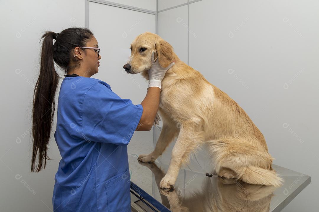 Médico veterinário abraçando um cachorro Imagem JPG