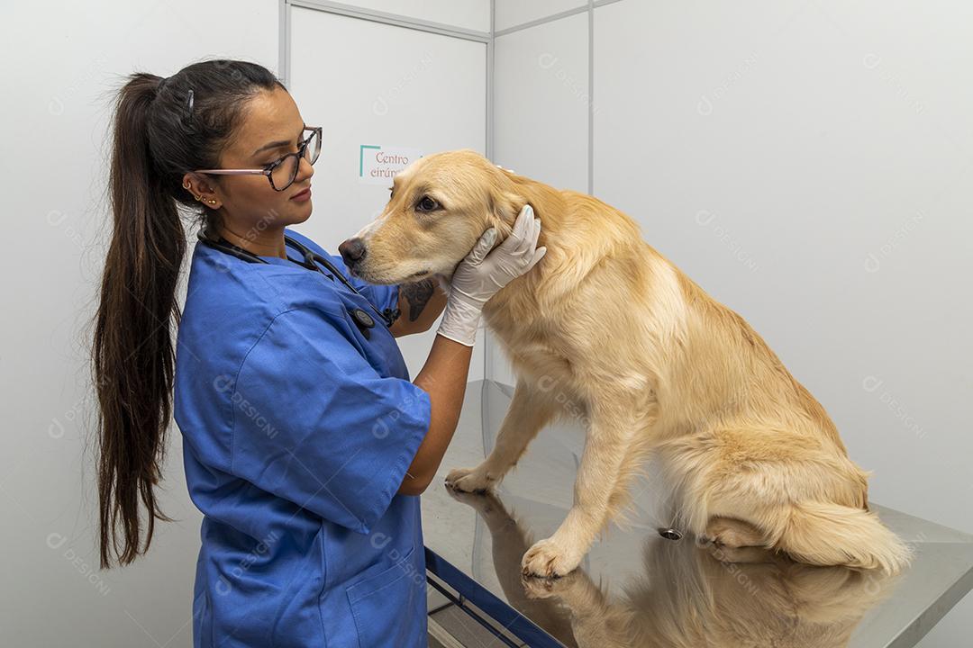 Médico veterinário abraçando um cachorro Imagem JPG
