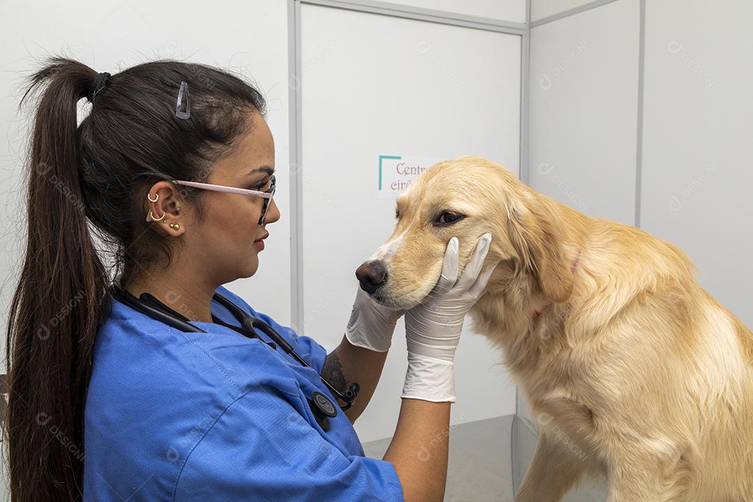 Médico veterinário abraçando um cachorro Imagem JPG