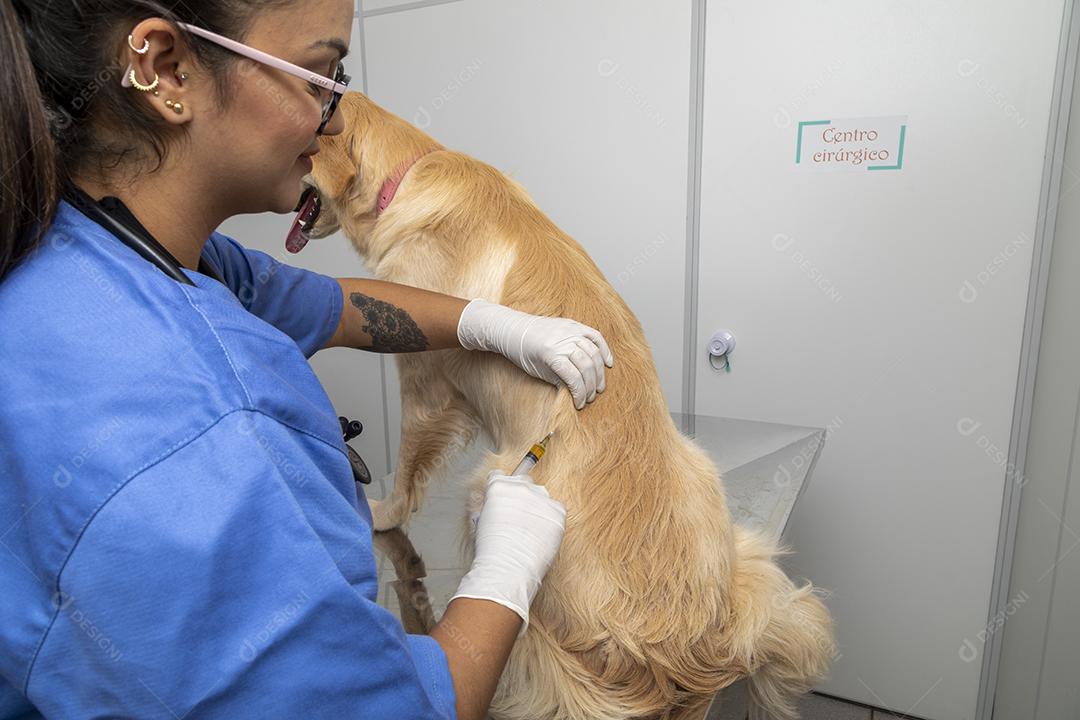 Médico veterinário abraçando um cachorro Imagem JPG