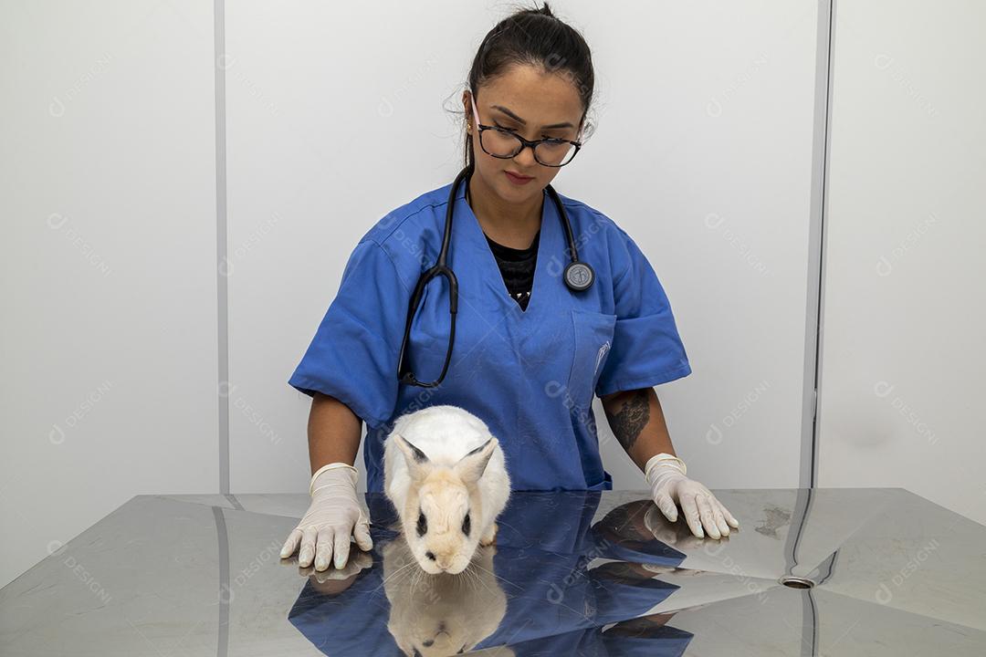 Veterinarian examining a rabbit Image JPG