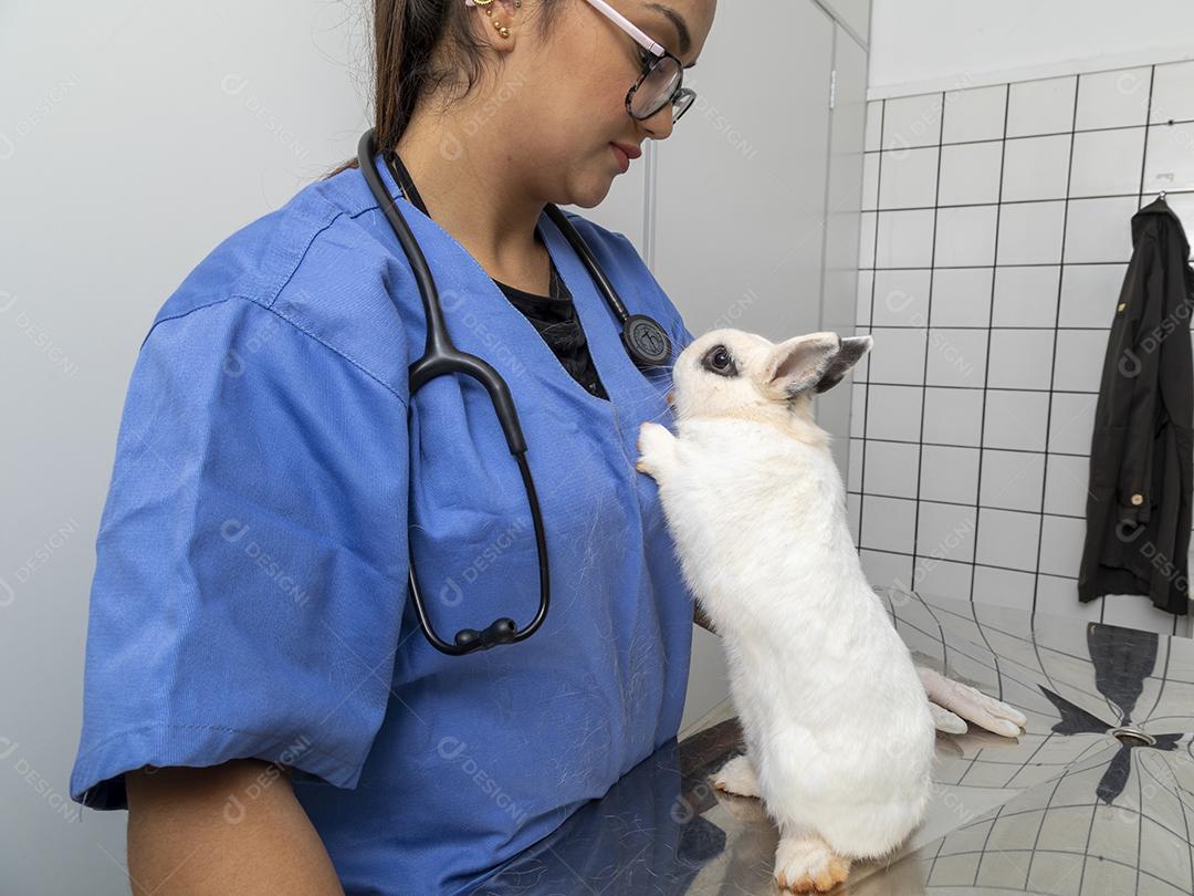 Médico veterinário examinando um coelho Imagem JPG