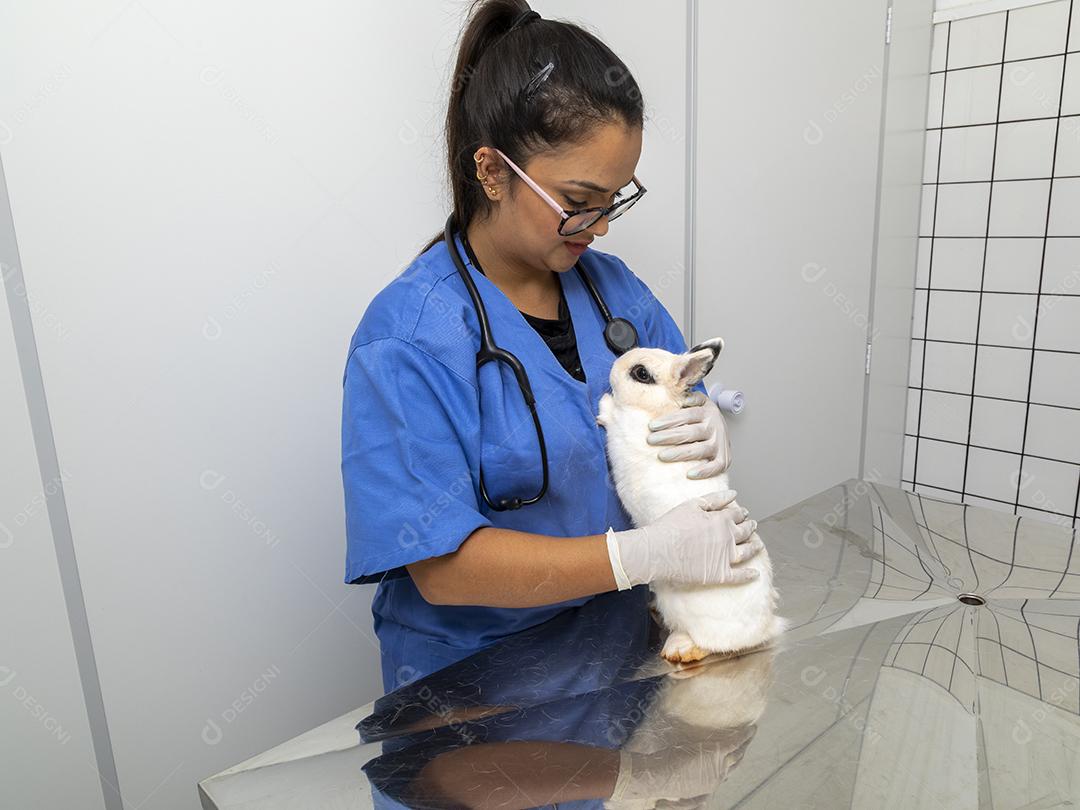 Médico veterinário examinando um coelho Imagem JPG