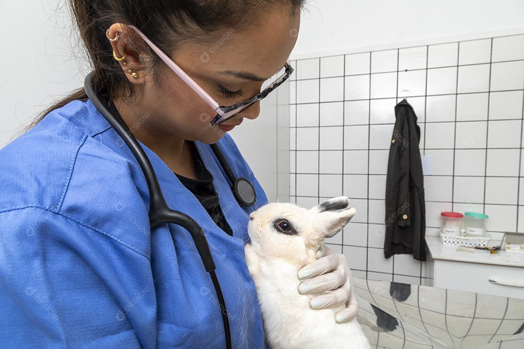 Médico veterinário examinando um coelho Imagem JPG