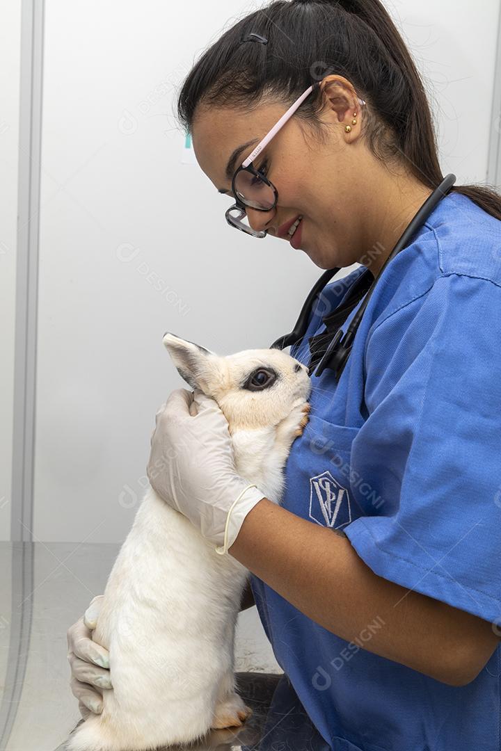 Médico veterinário examinando um coelho Imagem JPG