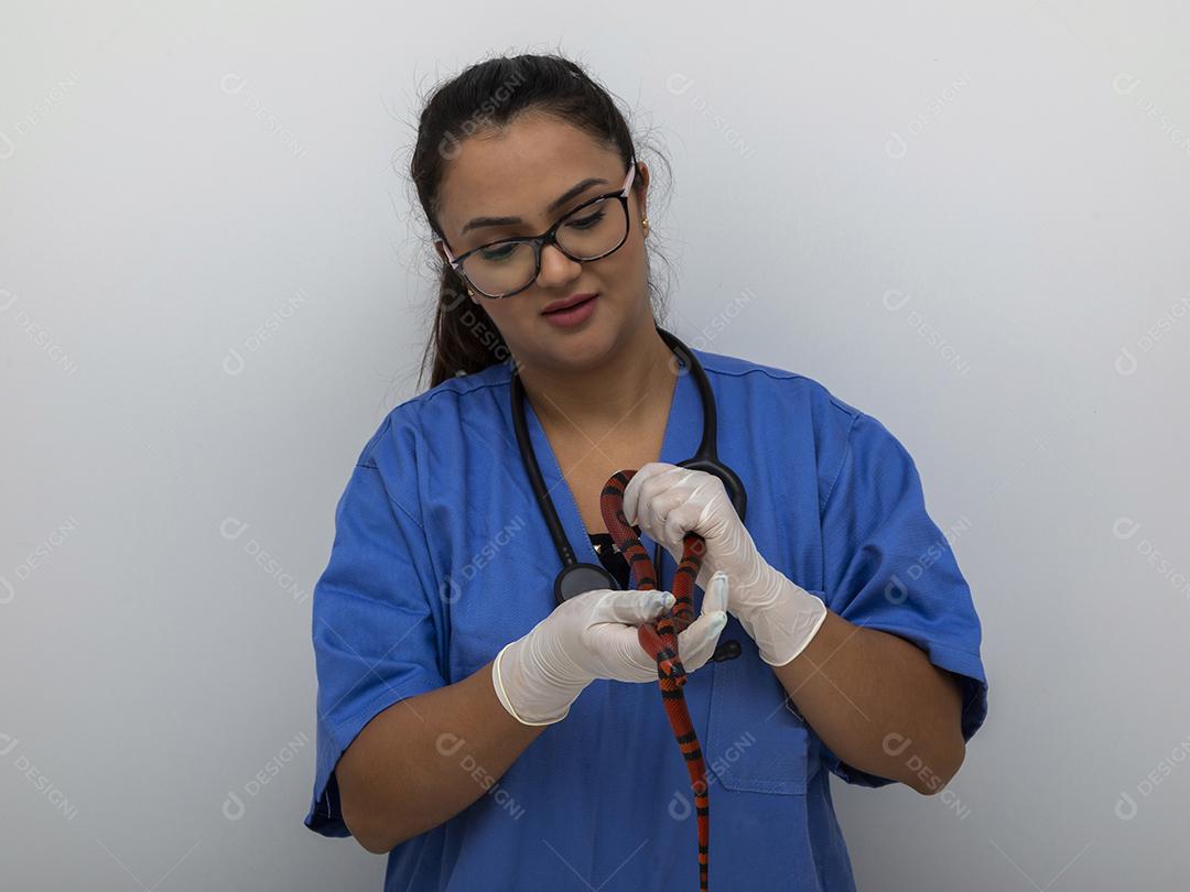 Médico veterinário examinando uma cobra vermelha e branca Imagem JPG