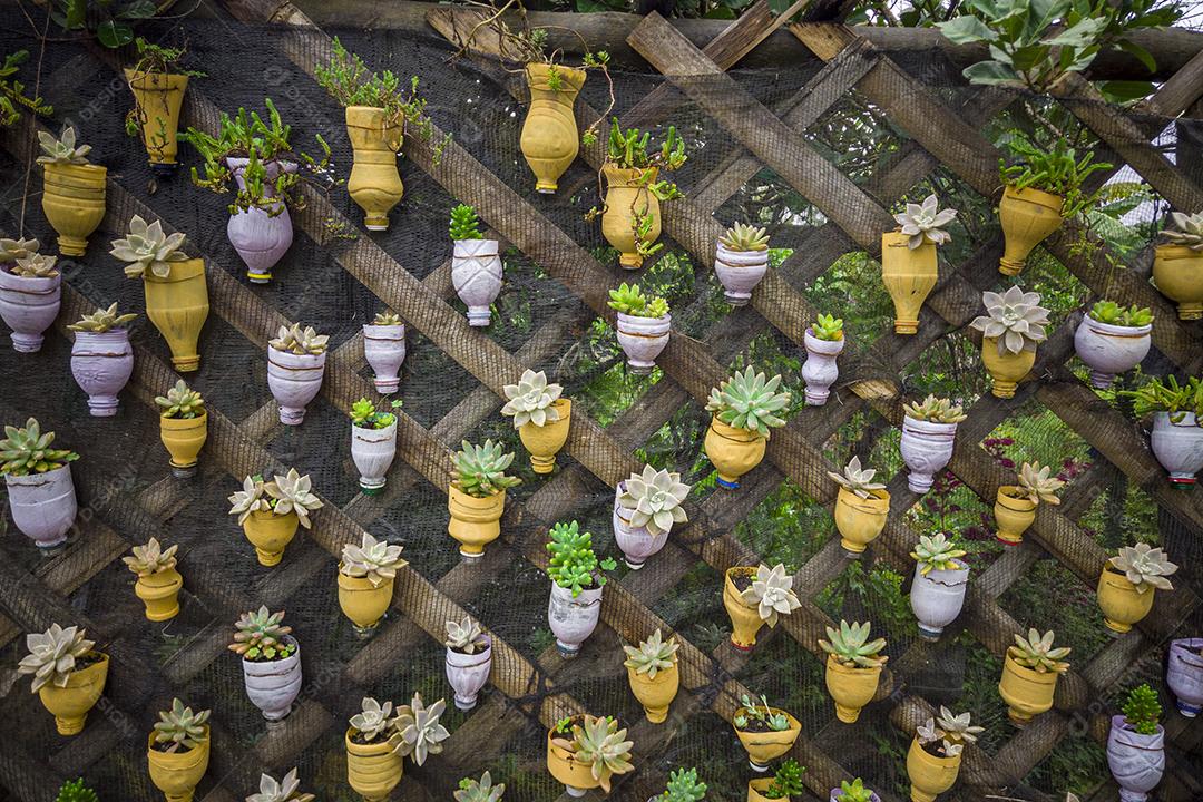 Fotos Sustentabilidade, reaproveitando garrafas pet e transformando-as em vasos para plantar