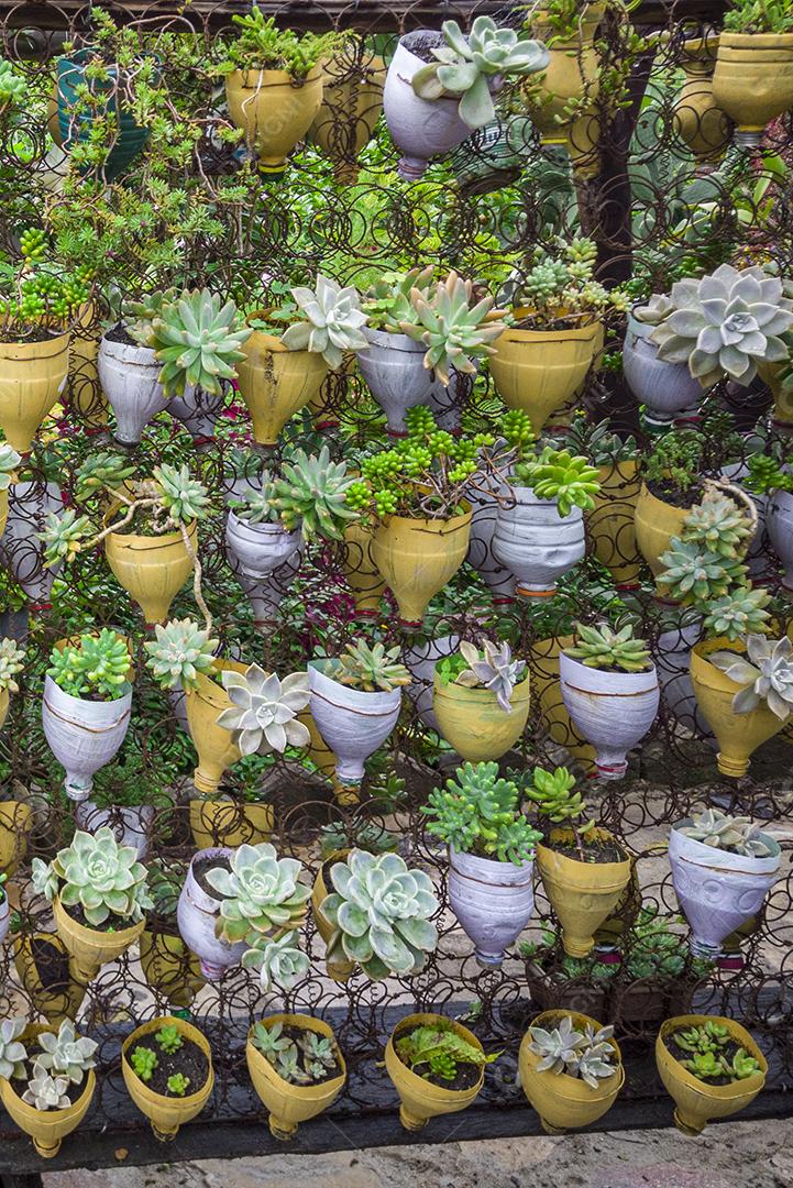 Fotos Sustentabilidade, reaproveitando garrafas pet e transformando-as em vasos para plantar