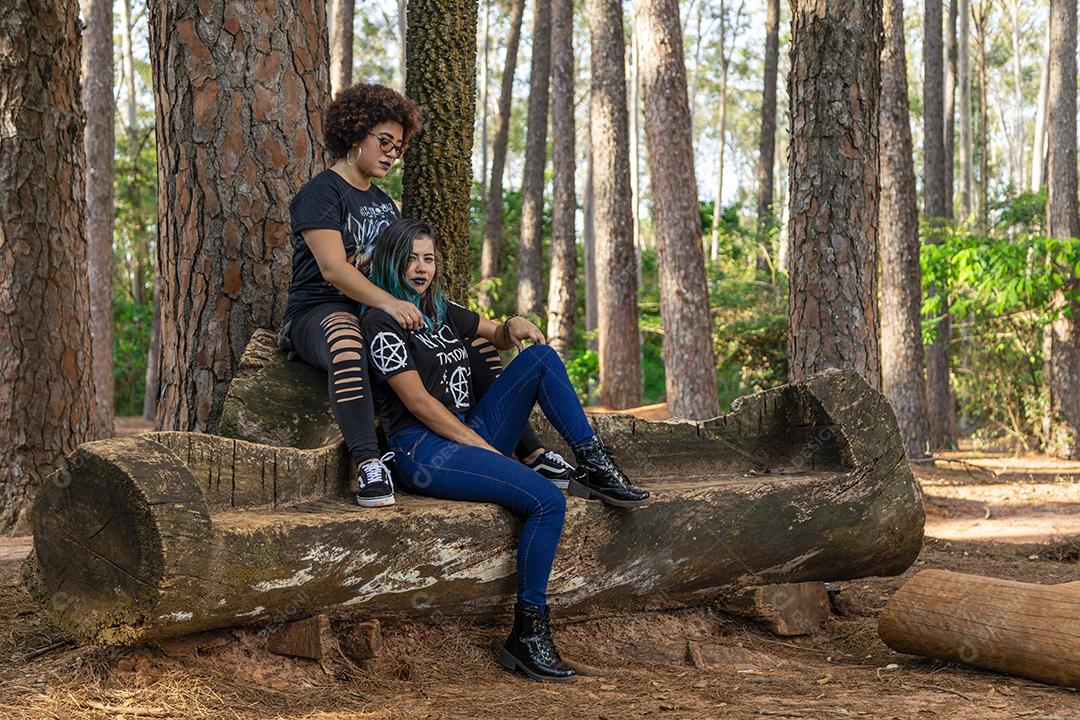 Casal de namoradas lésbicas em um lindo dia ensolarado no parque.Imagem JPG