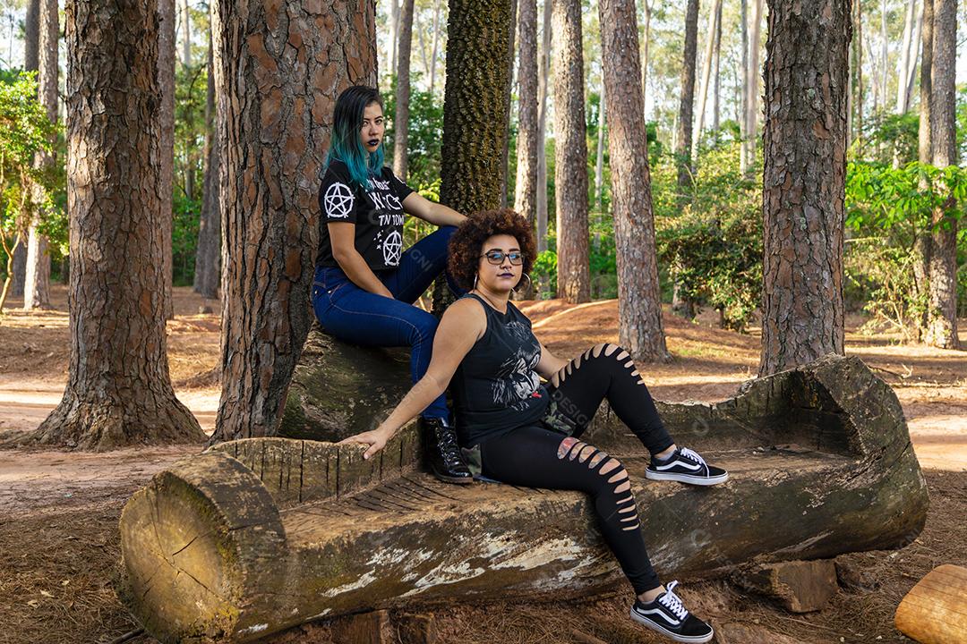 Casal de namoradas lésbicas em um lindo dia ensolarado no parque.Imagem JPG