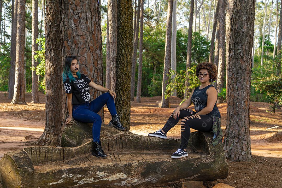 Casal de namoradas lésbicas em um lindo dia ensolarado no parque.Imagem JPG