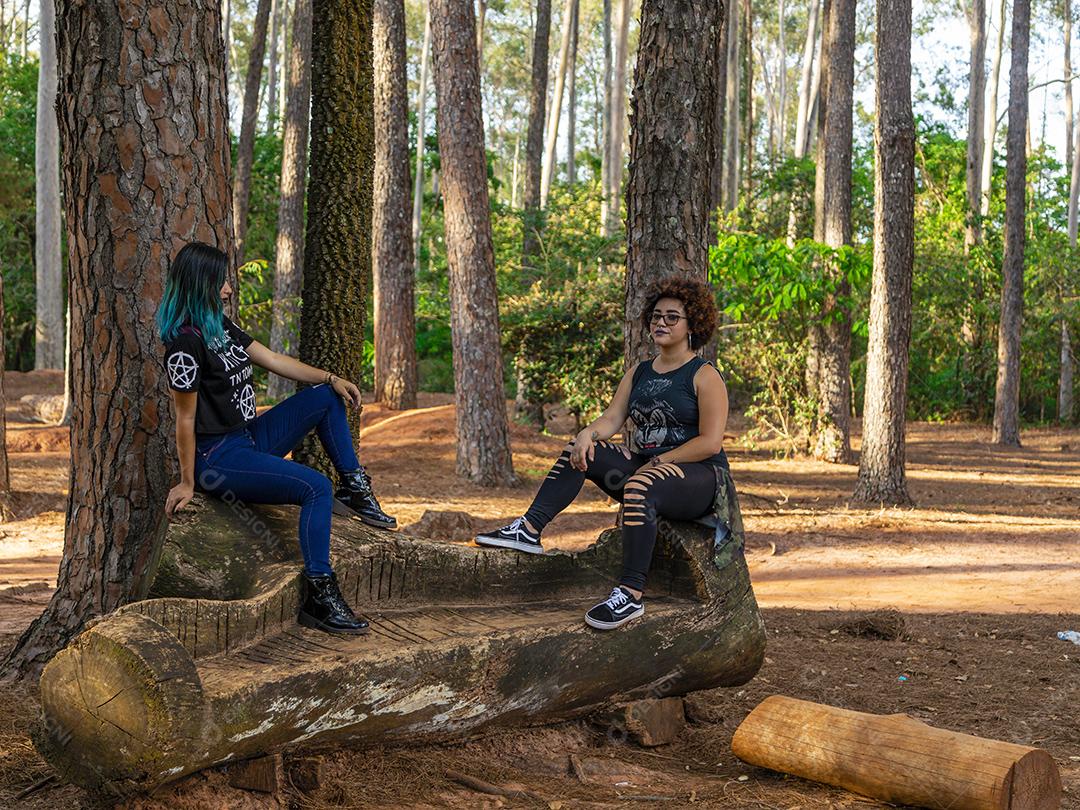 Casal de namoradas lésbicas em um lindo dia ensolarado no parque.Imagem JPG
