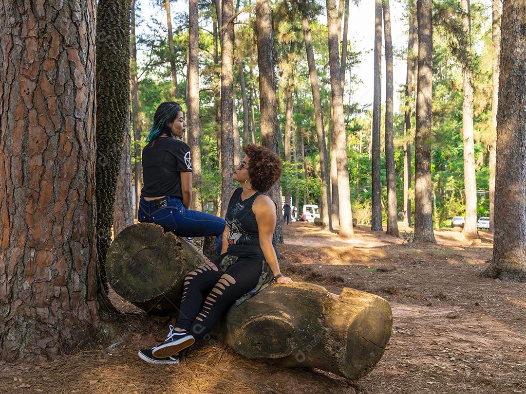 Casal de namoradas lésbicas em um lindo dia ensolarado no parque.Imagem JPG