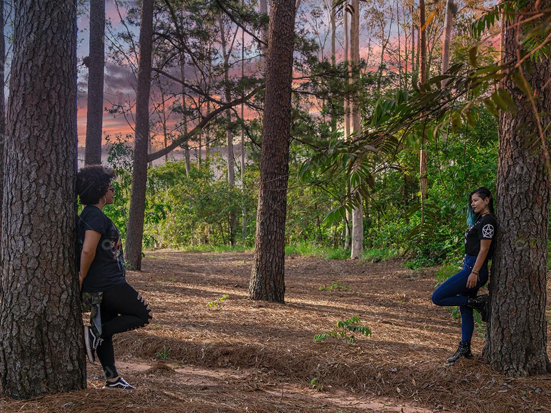 Casal de namoradas lésbicas em um lindo dia ensolarado no parque.Imagem JPG