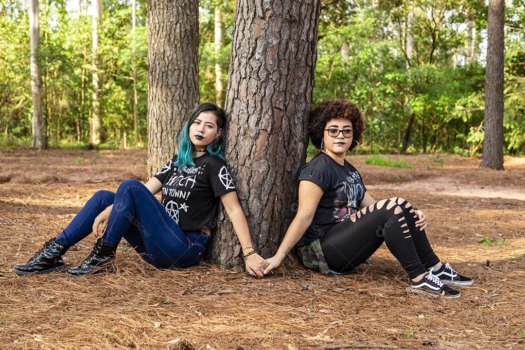 Casal de namoradas lésbicas em um lindo dia ensolarado no parque.Imagem JPG